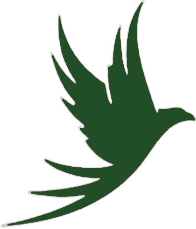 کاتالوگ سیمرغ توسعه